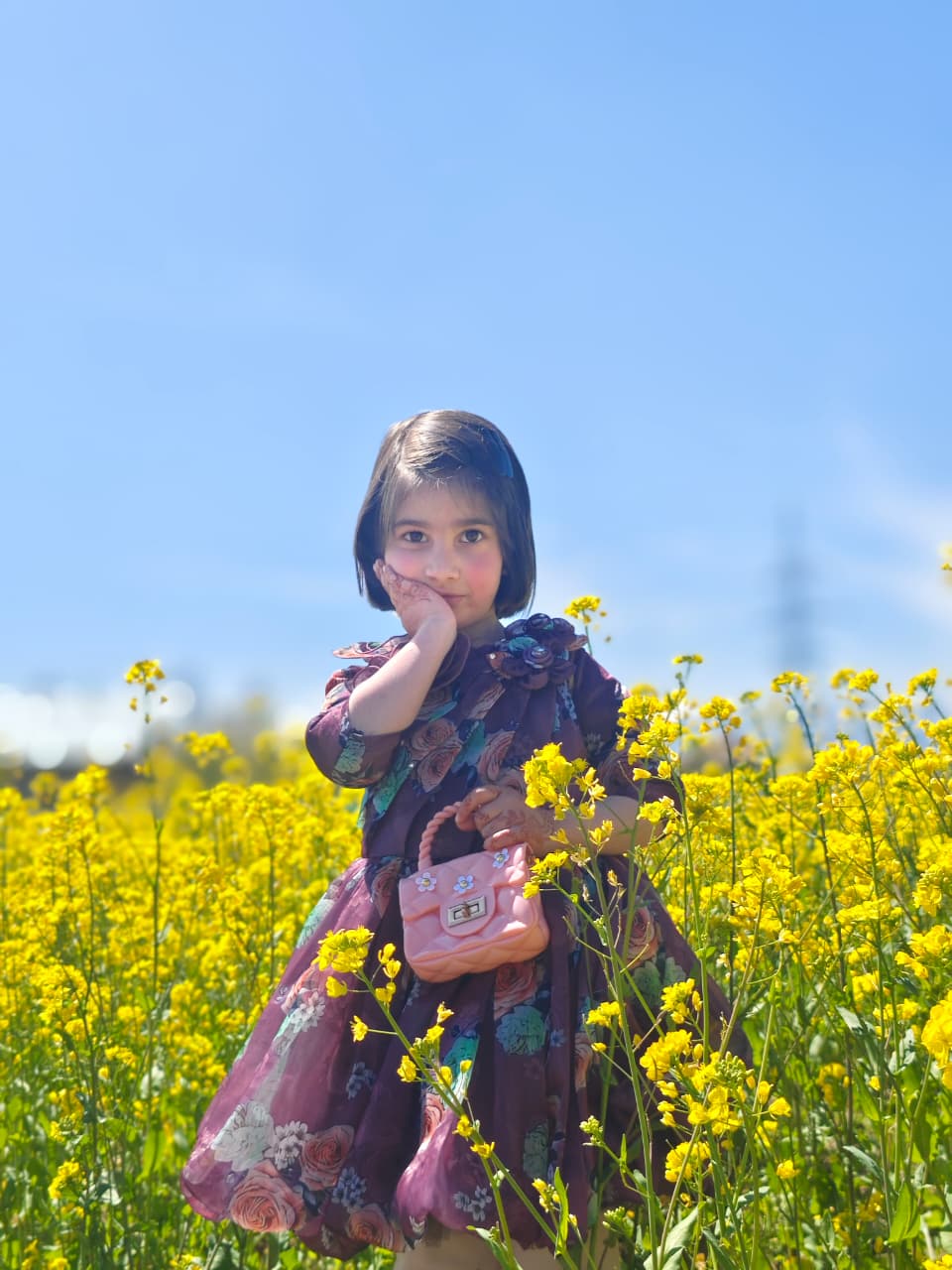 blog