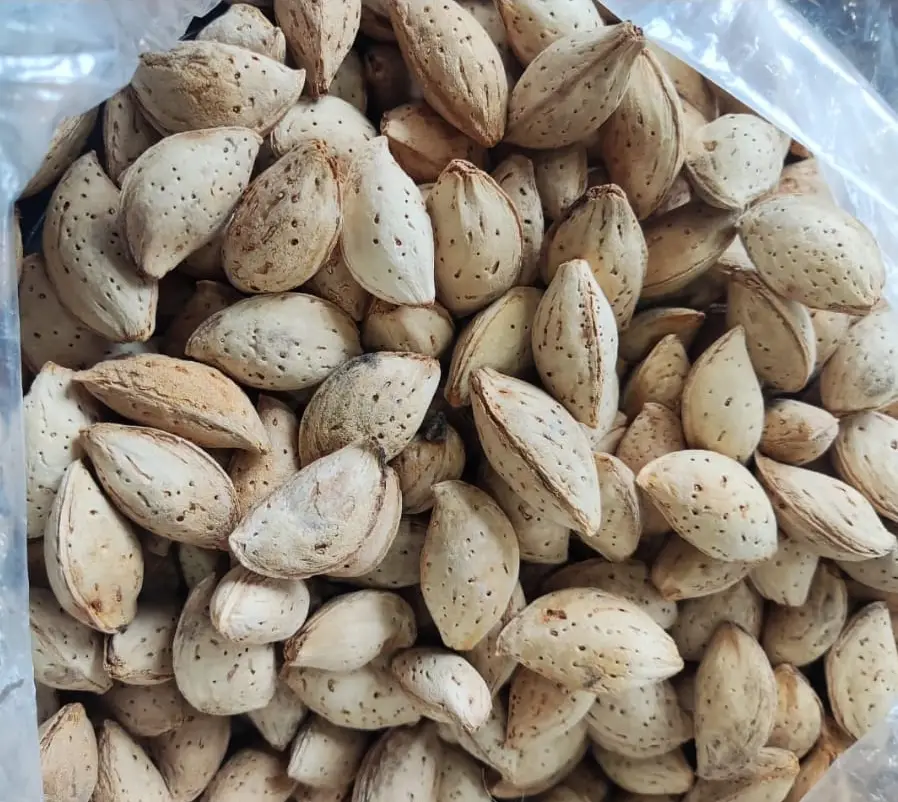 Almonds-detail